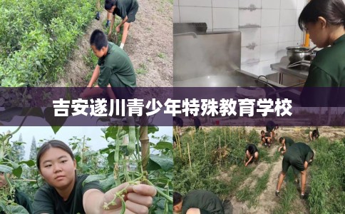 吉安遂川青少年特殊教育学校