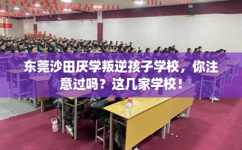 东莞沙田厌学叛逆孩子学校，你注意过吗？这几家学校！