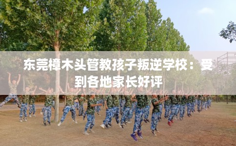 东莞樟木头管教孩子叛逆学校：受到各地家长好评