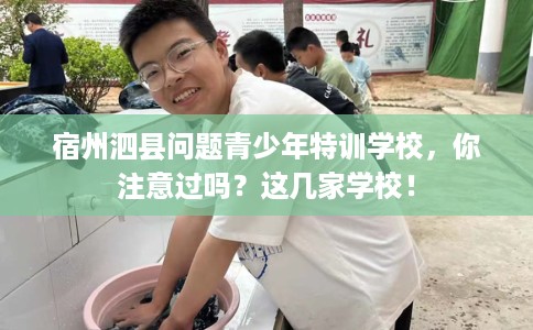宿州泗县问题青少年特训学校，你注意过吗？这几家学校！