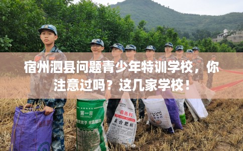 宿州泗县问题青少年特训学校，你注意过吗？这几家学校！