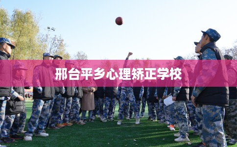 邢台平乡心理矫正学校
