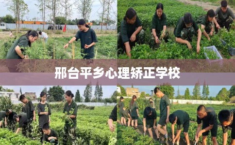 邢台平乡心理矫正学校