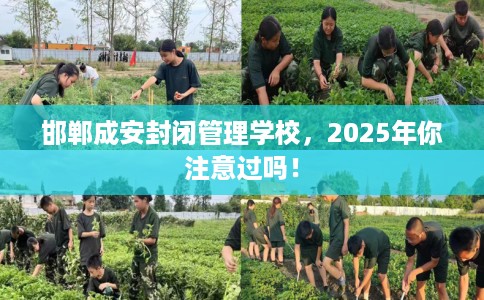 邯郸成安封闭管理学校，2025年你注意过吗！