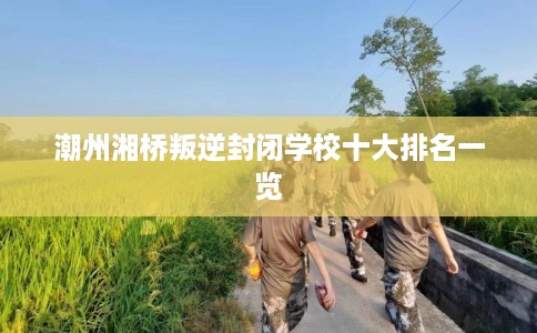 潮州湘桥叛逆封闭学校十大排名一览