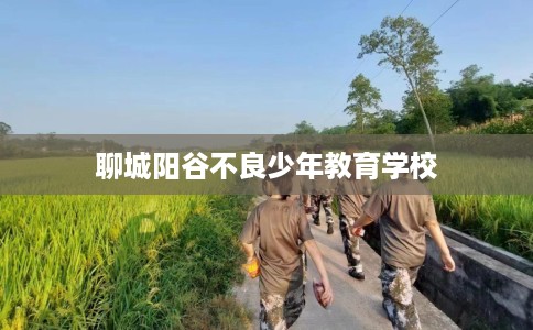 聊城阳谷不良少年教育学校