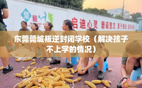 东莞莞城叛逆封闭学校(解决孩子不上学的情况) 东莞莞城叛逆封闭学校(解决孩子不上学的情况)