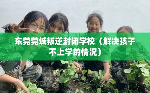 东莞莞城叛逆封闭学校(解决孩子不上学的情况) 东莞莞城叛逆封闭学校(解决孩子不上学的情况)