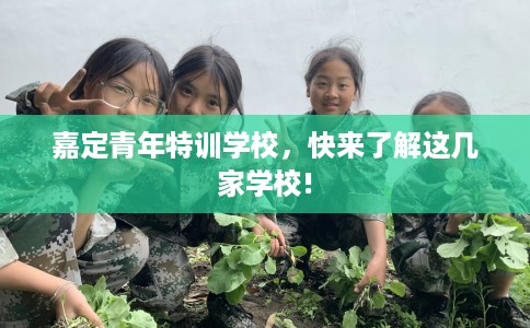 嘉定青年特训学校，快来了解这几家学校!