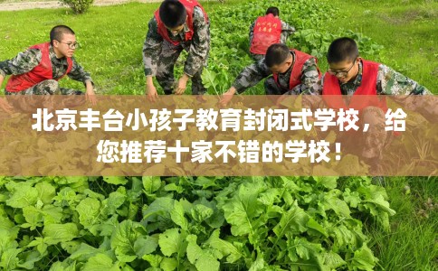 北京丰台小孩子教育封闭式学校，给您推荐十家不错的学校！
