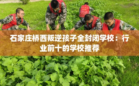 石家庄桥西叛逆孩子全封闭学校：行业前十的学校推荐