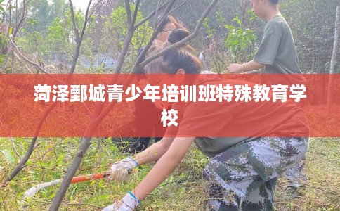 菏泽鄄城青少年培训班特殊教育学校