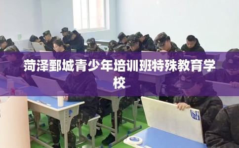 菏泽鄄城青少年培训班特殊教育学校