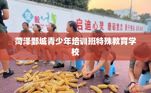 菏泽鄄城青少年培训班特殊教育学校
