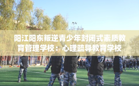 阳江阳东叛逆青少年封闭式素质教育管理学校：心理疏导教育学校