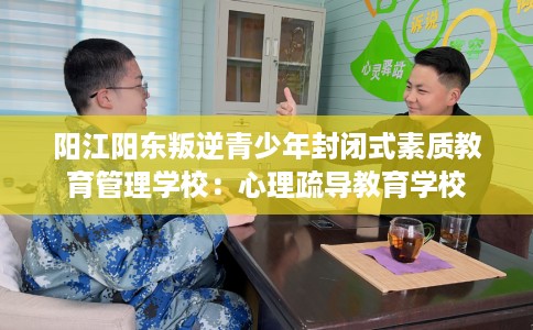 阳江阳东叛逆青少年封闭式素质教育管理学校：心理疏导教育学校