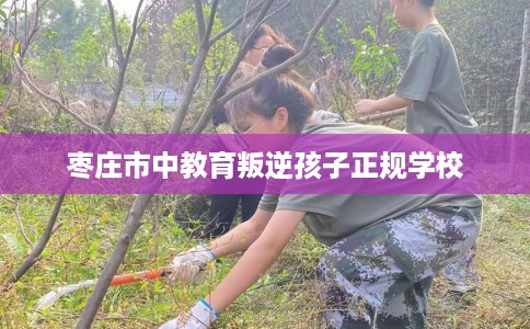 枣庄市中教育叛逆孩子正规学校