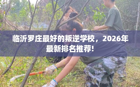 临沂罗庄最好的叛逆学校，2026年最新排名推荐!