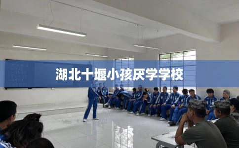 湖北十堰小孩厌学学校