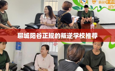 聊城阳谷正规的叛逆学校推荐