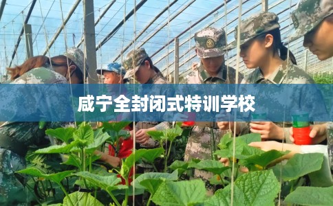 咸宁全封闭式特训学校