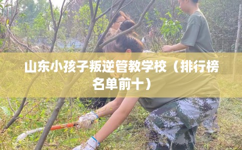 山东小孩子叛逆管教学校（排行榜名单前十）