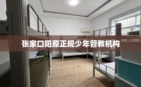 张家口阳原正规少年管教机构