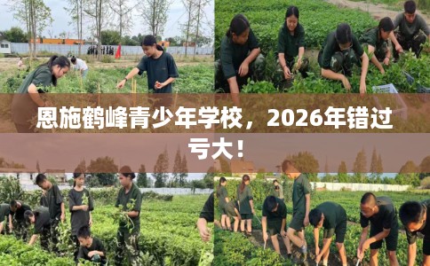 恩施鹤峰青少年学校，2026年错过亏大！