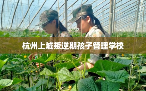杭州上城叛逆期孩子管理学校 杭州上城叛逆期孩子管理学校