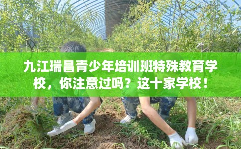 九江瑞昌青少年培训班特殊教育学校，你注意过吗？这十家学校！