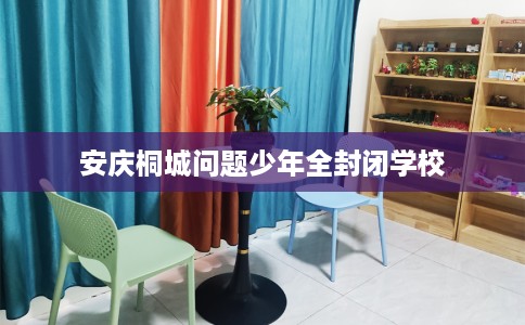 安庆桐城问题少年全封闭学校