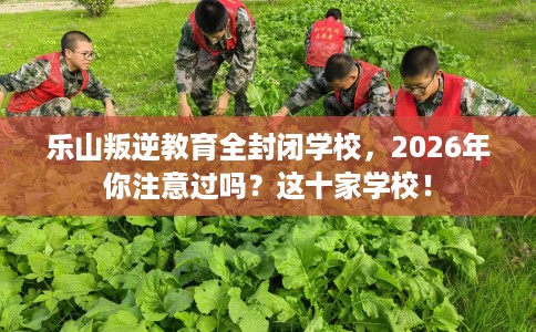 乐山叛逆教育全封闭学校，2026年你注意过吗？这十家学校！