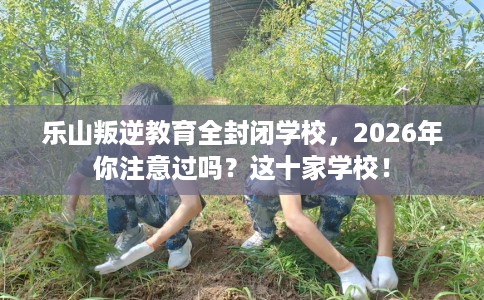 乐山叛逆教育全封闭学校，2026年你注意过吗？这十家学校！