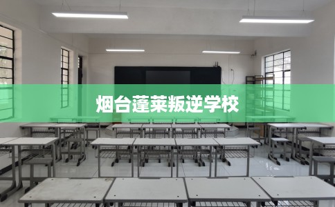 烟台蓬莱叛逆学校