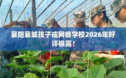 襄阳襄城孩子戒网瘾学校2026年好评极高！