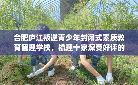 合肥庐江叛逆青少年封闭式素质教育管理学校，梳理十家深受好评的学校！