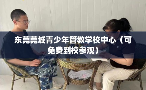 东莞莞城青少年管教学校中心（可免费到校参观）