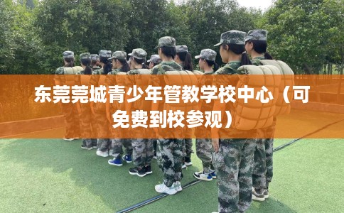 东莞莞城青少年管教学校中心（可免费到校参观）