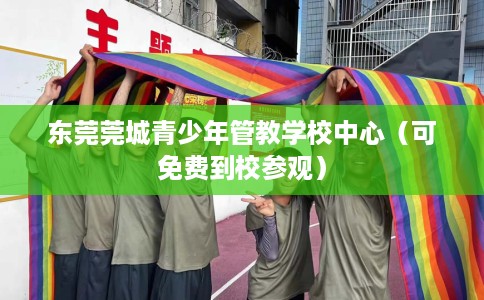 东莞莞城青少年管教学校中心（可免费到校参观）