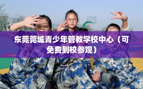 东莞莞城青少年管教学校中心（可免费到校参观）