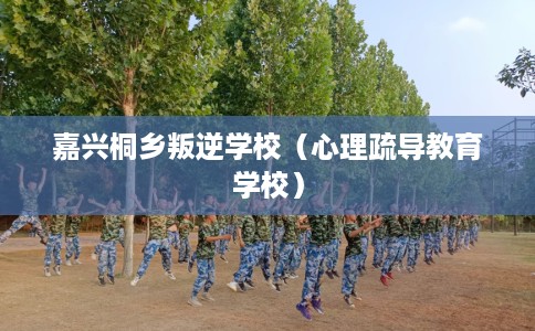 嘉兴桐乡叛逆学校（心理疏导教育学校）