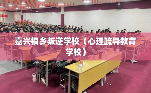 嘉兴桐乡叛逆学校（心理疏导教育学校）