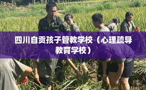 四川自贡孩子管教学校（心理疏导教育学校）