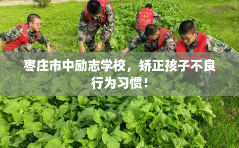 枣庄市中励志学校，矫正孩子不良行为习惯！