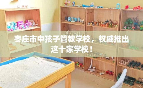 枣庄市中孩子管教学校，权威推出这十家学校！