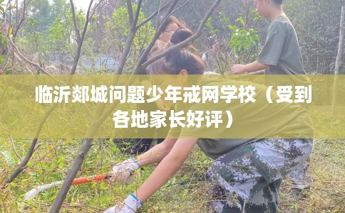 临沂郯城问题少年戒网学校（受到各地家长好评）