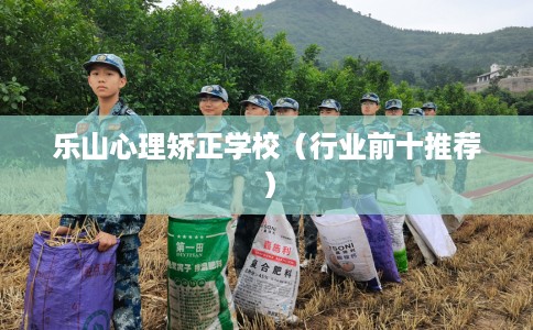 乐山心理矫正学校（行业前十推荐）