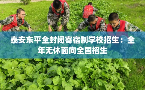 泰安东平全封闭寄宿制学校招生：全年无休面向全国招生