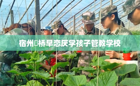 宿州埇桥早恋厌学孩子管教学校