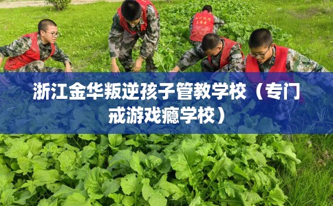 浙江金华叛逆孩子管教学校（专门戒游戏瘾学校）